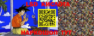 индика Новокубанск