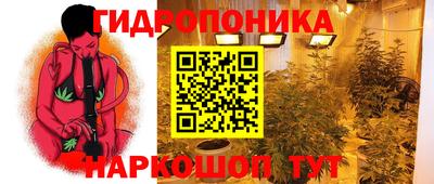 индика Новокубанск