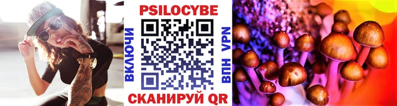 Псилоцибиновые грибы Psilocybe Скопин